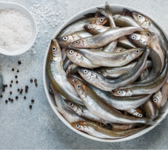 Šviežia stinta, tiekėjas – RAMBYNAS. 1kg